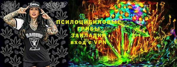 крисы Бугульма