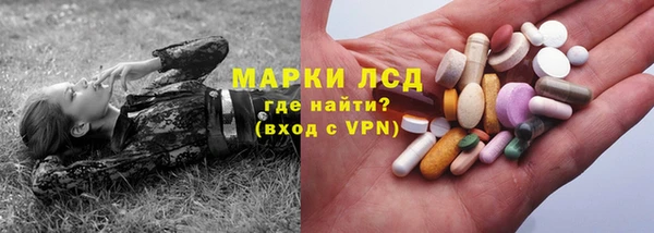 крисы Бугульма