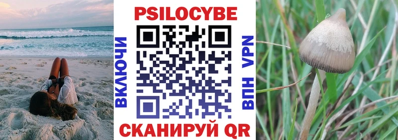Псилоцибиновые грибы GOLDEN TEACHER  Мурманск 